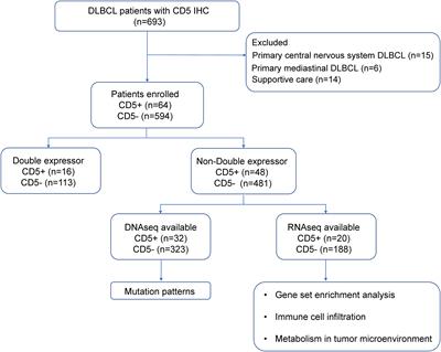 Enhanced lipid metabolism confers the immunosuppressive tumor microenvironment in CD5-positive non-MYC/BCL2 double expressor lymphoma